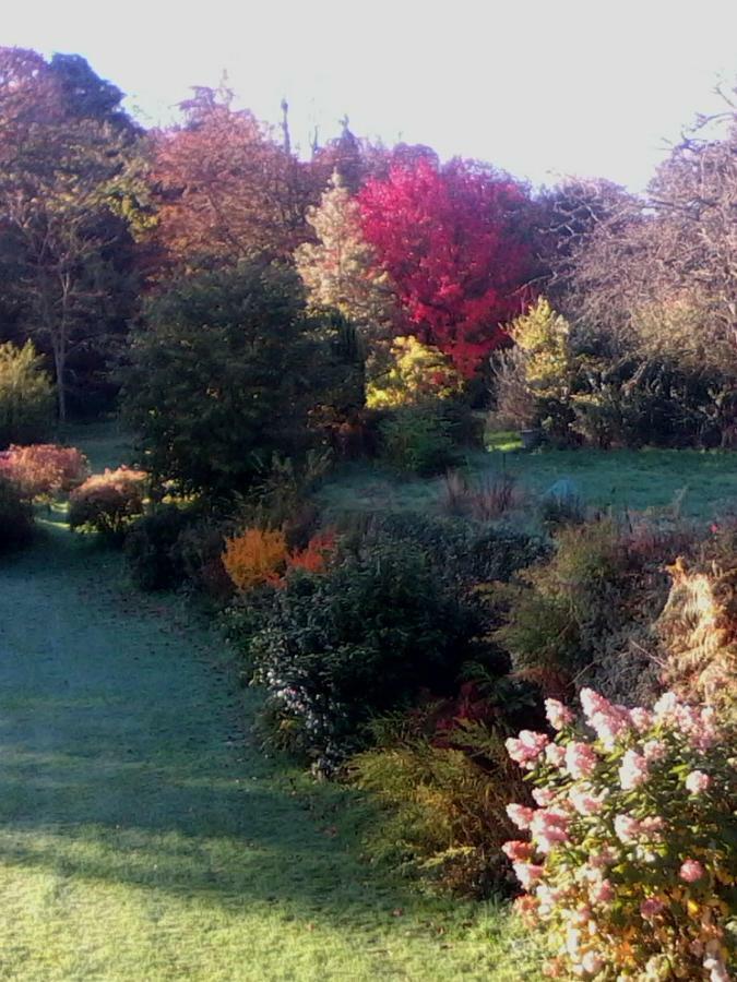 Ploubezre Manoir De Kerguereon Bed & Breakfast エクステリア 写真
